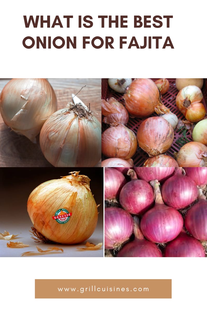 Best Onion For Fajita